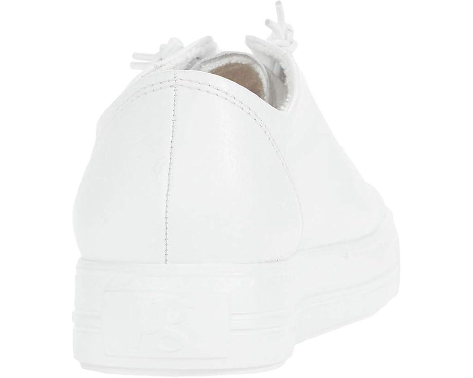 Faye Sneaker Product Image