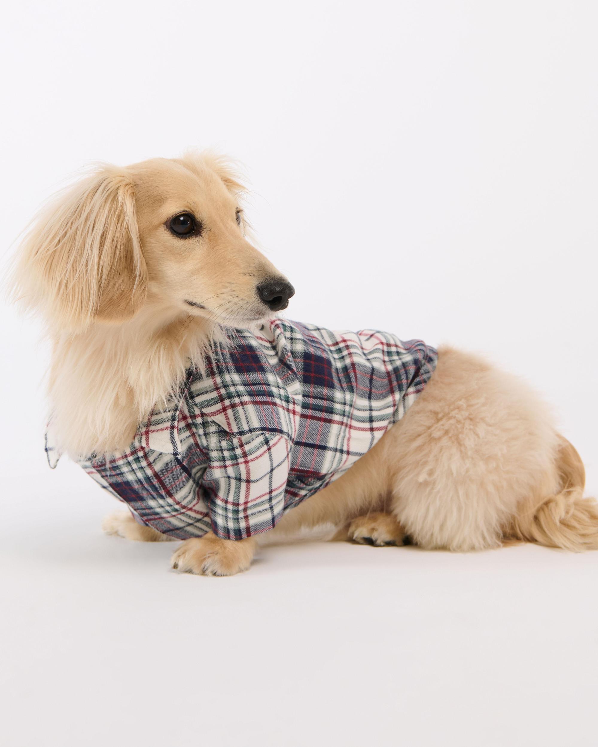 A&F Pet Sweater Product Image