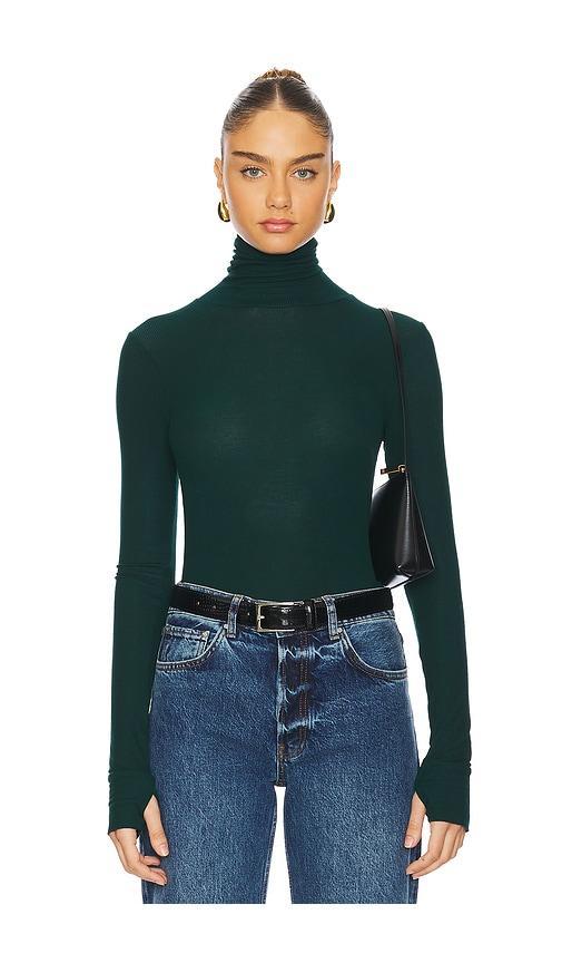 Arlen Long Sleeve Fitted Turtle Neck Top Michael Lauren Product Image
