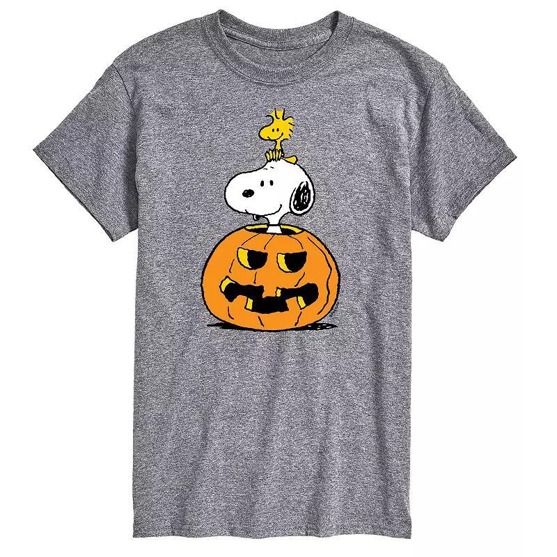Mens Peanuts Snoopy Woodstock Tee Product Image