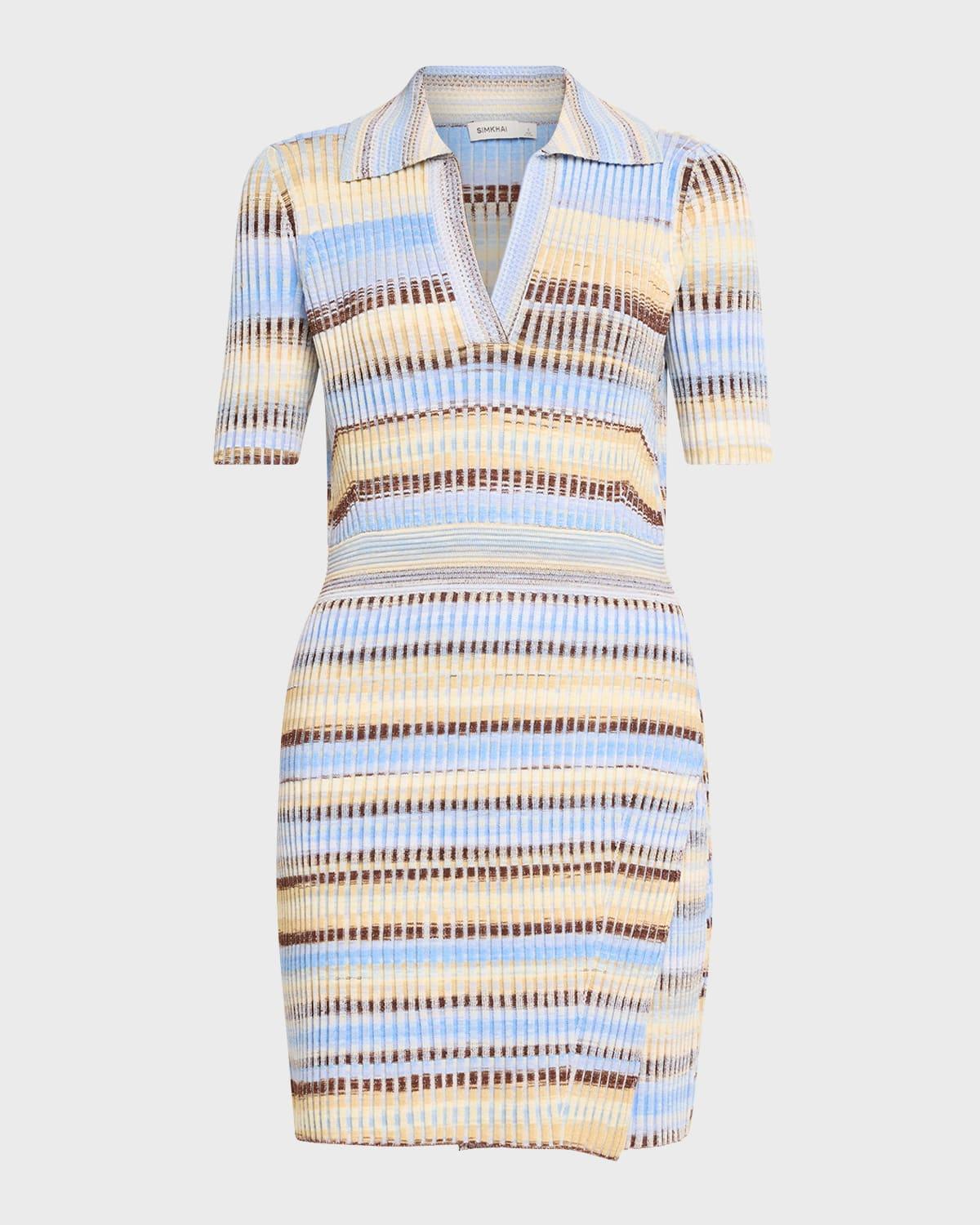 Solana Stripe Knit Polo Mini Dress Product Image