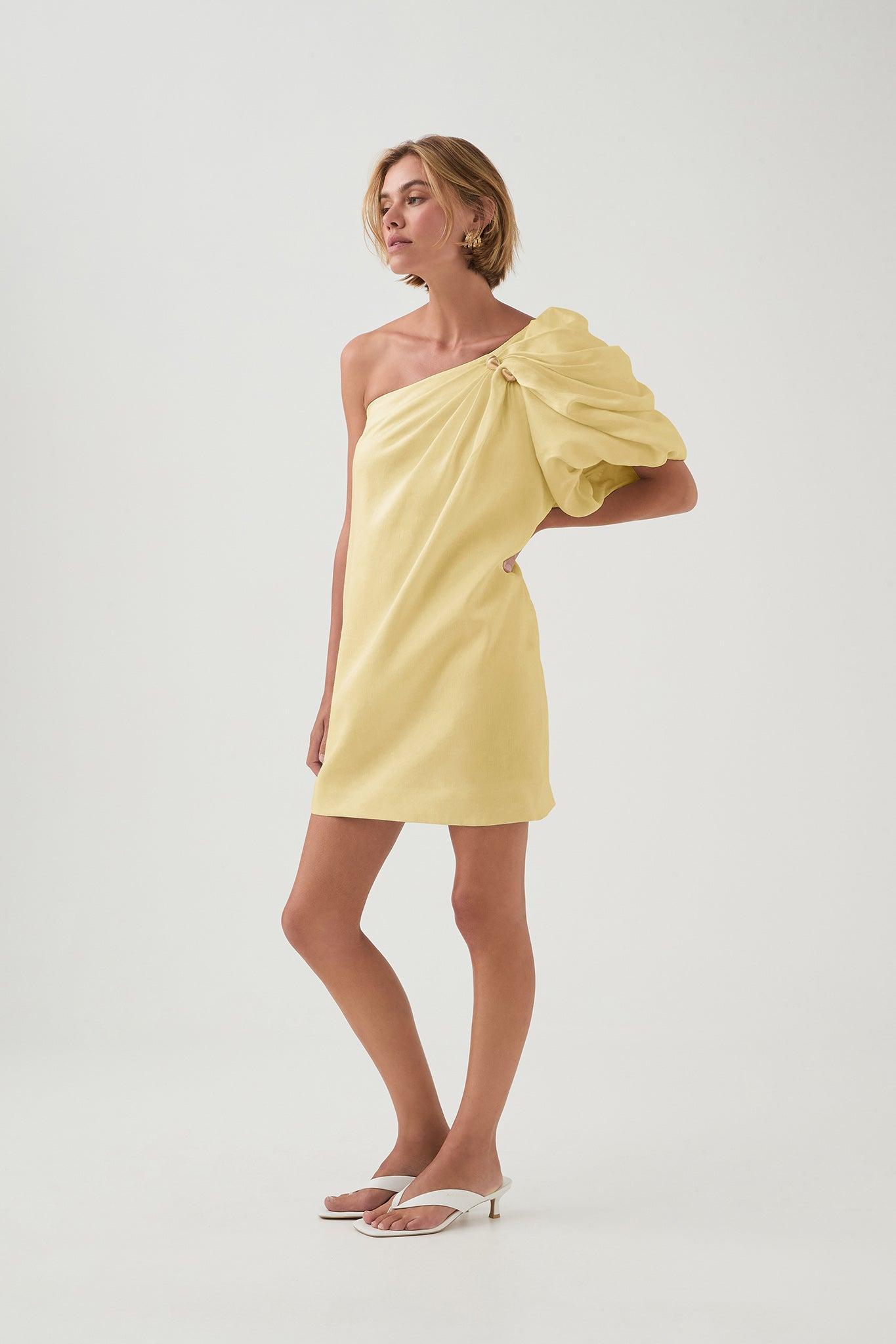 Cira Mini Dress Product Image