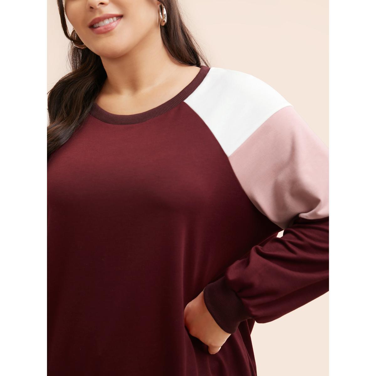 Plus Size Colorblock Contrast Raglan Sleeve Sweatshirt Women Multicolor Casual Contrast Round Neck Everyday Sweatshirts BloomChic 22-24/3X Product Image
