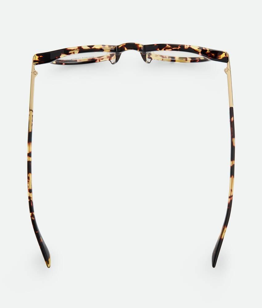 Men's Forte Recycled Acetate Panthos Eyeglasses in Havana/transparent Product Image