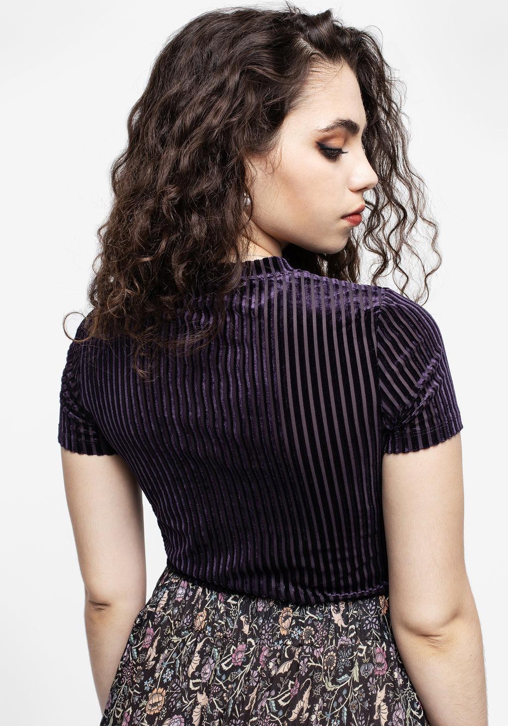 Dysnomia Ribbed Velvet Crop Top Product Image