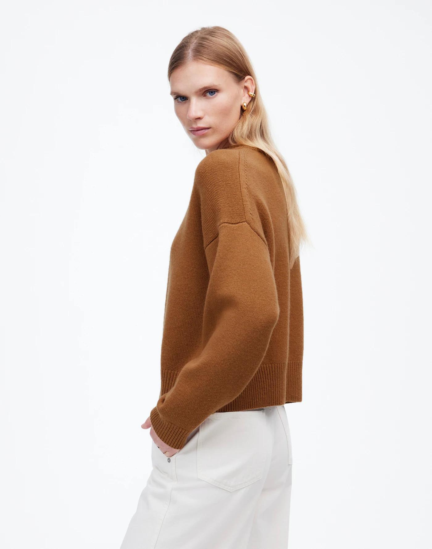 SoftWool Boxy Crewneck Sweater Product Image