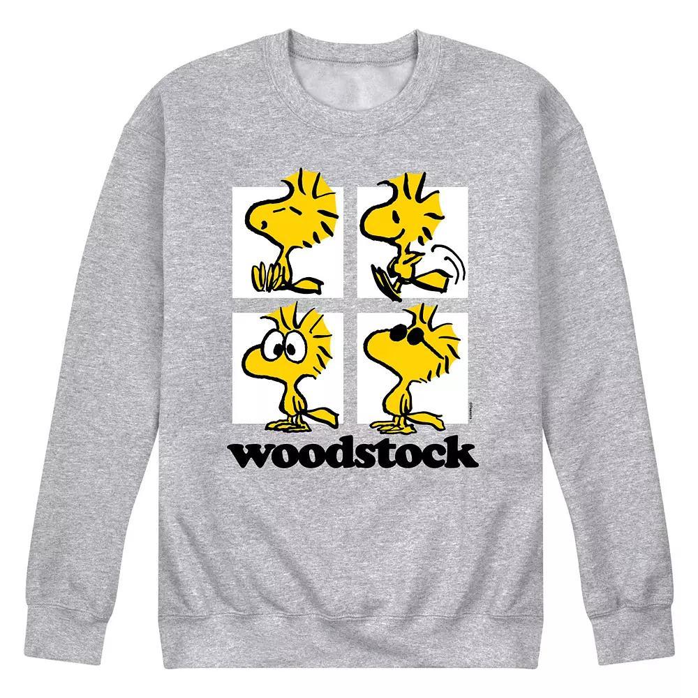 Mens Peanuts Woodstock Grid Long Sleeve Grey Gray Product Image