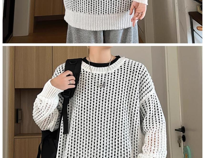 Crew Neck Plain Pointelle Knit Sweater Product Image
