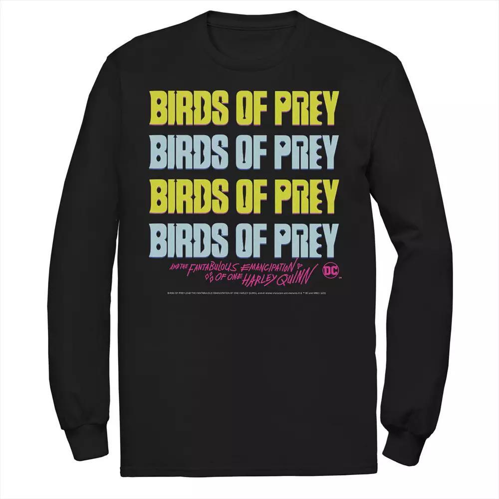 Men's DC Comics Birds Of Prey Word Stack Logo Tee, Size: Small, Black Product Image