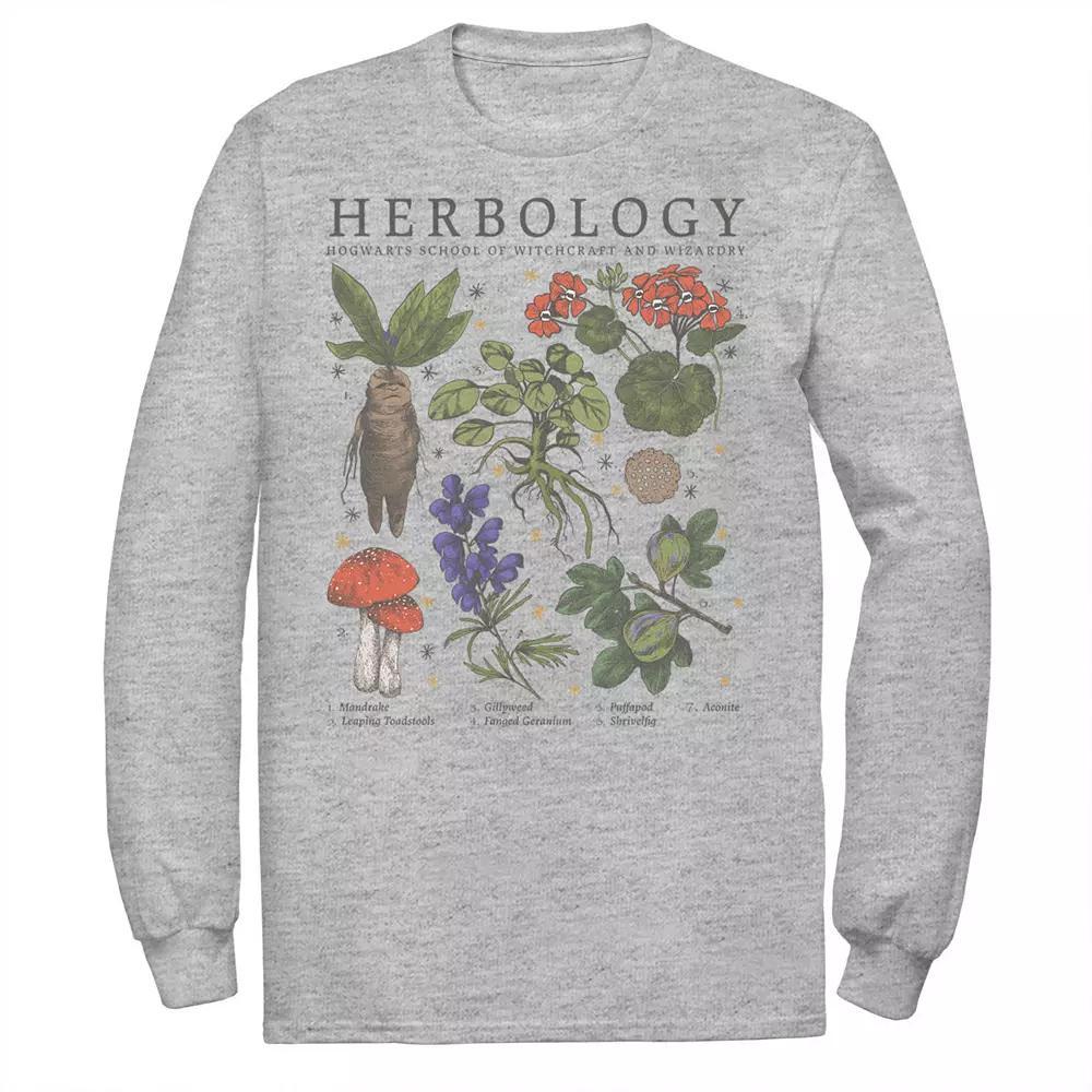 Men's Deathly Hollows 2 Herbology Lineup Tee, Size: 3XL, Athletic Grey Product Image