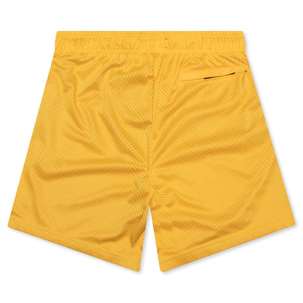 West Mesh Shorts - Purple Male Product Image