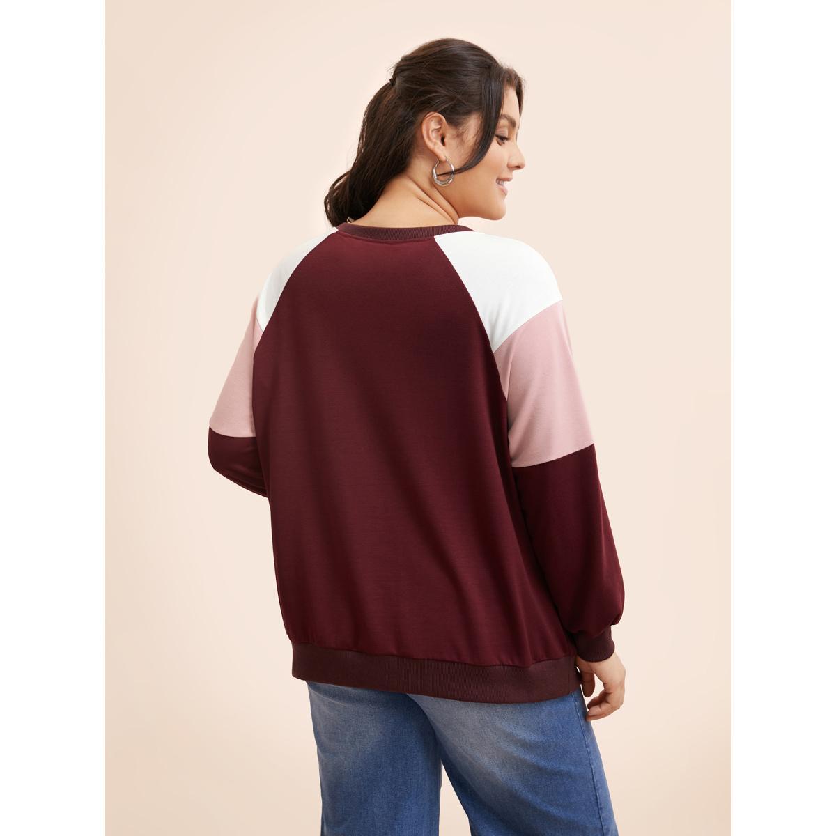 Plus Size Colorblock Contrast Raglan Sleeve Sweatshirt Women Multicolor Casual Contrast Round Neck Everyday Sweatshirts BloomChic 22-24/3X Product Image