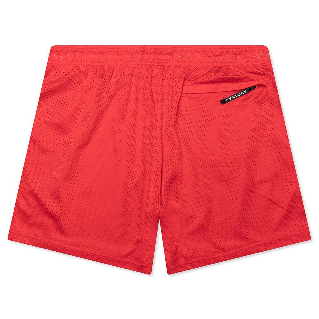 West Mesh Shorts - Desert Oasis Male Product Image