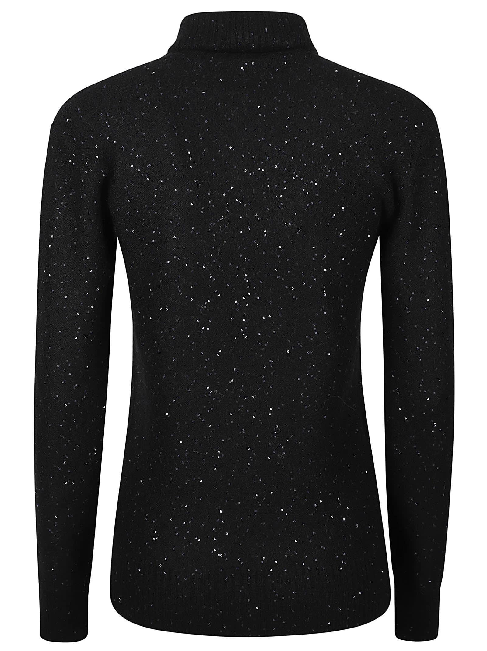 FABIANA FILIPPI Turtle Neck Sweater In Black Product Image