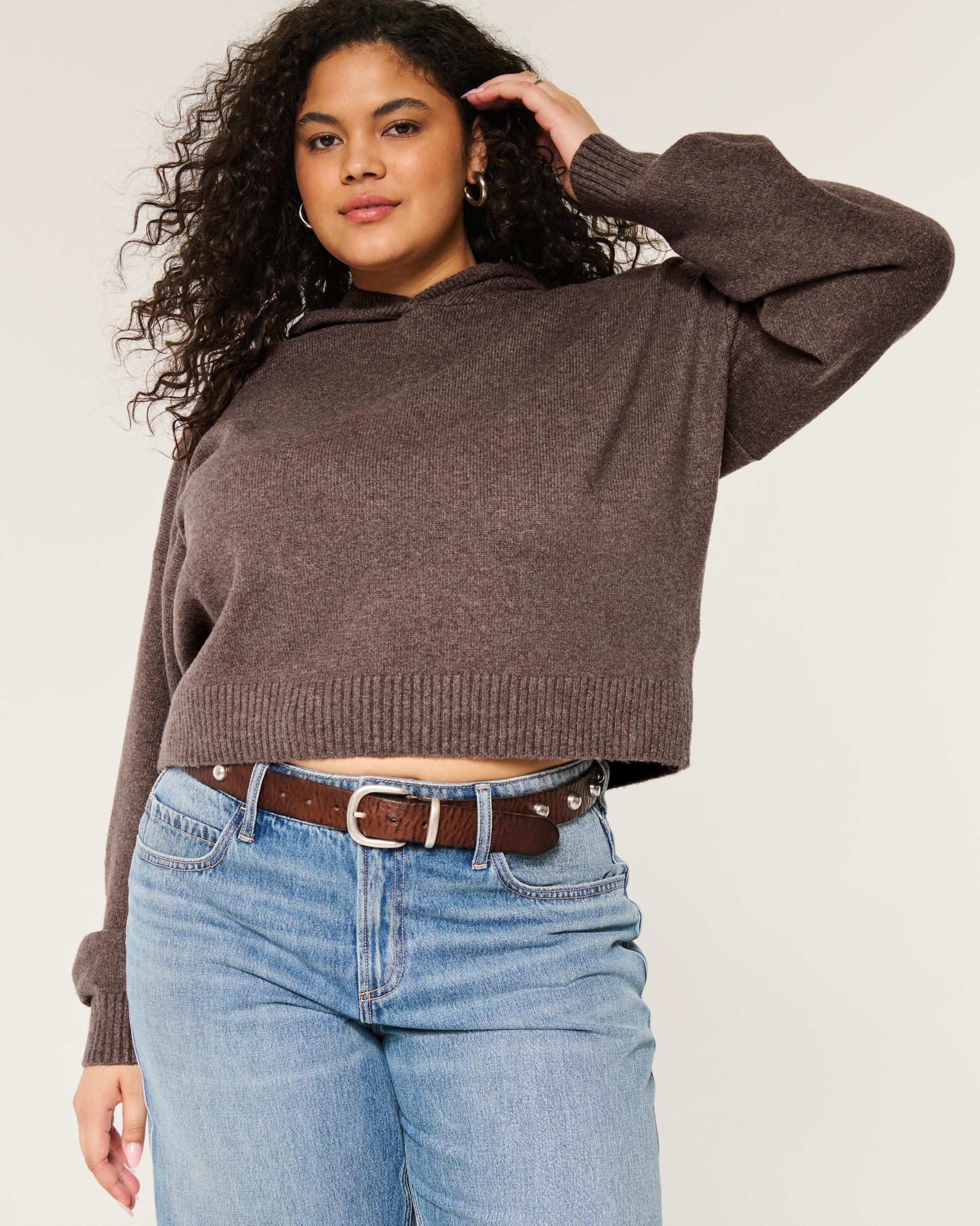 Hollister Comfy Cloud Sweater Hoodie Product Image
