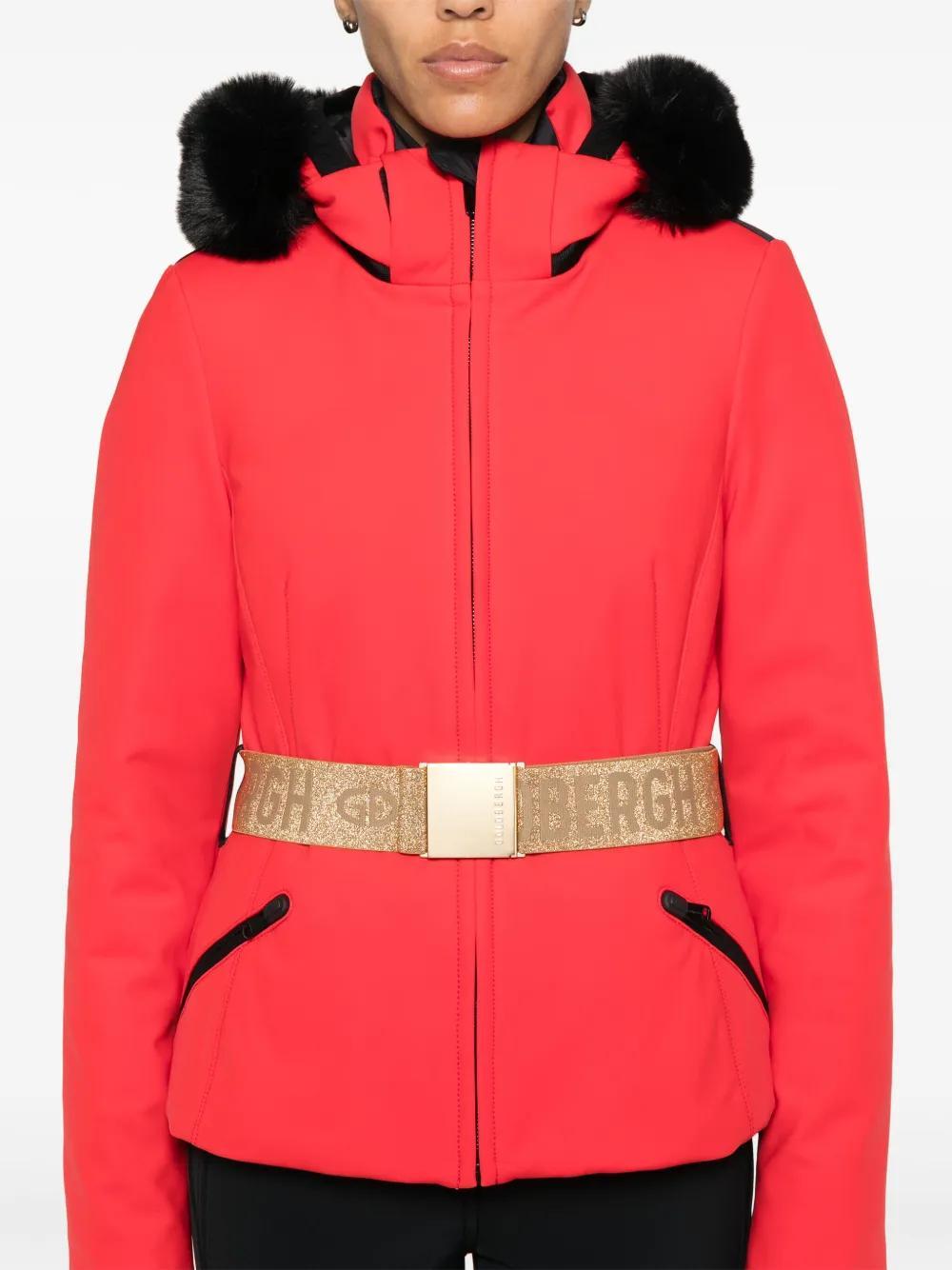 Hida ski jacket Product Image