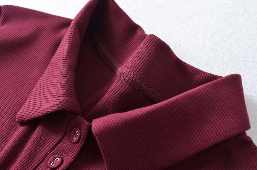 Long-Sleeve Plain Polo Shirt Product Image