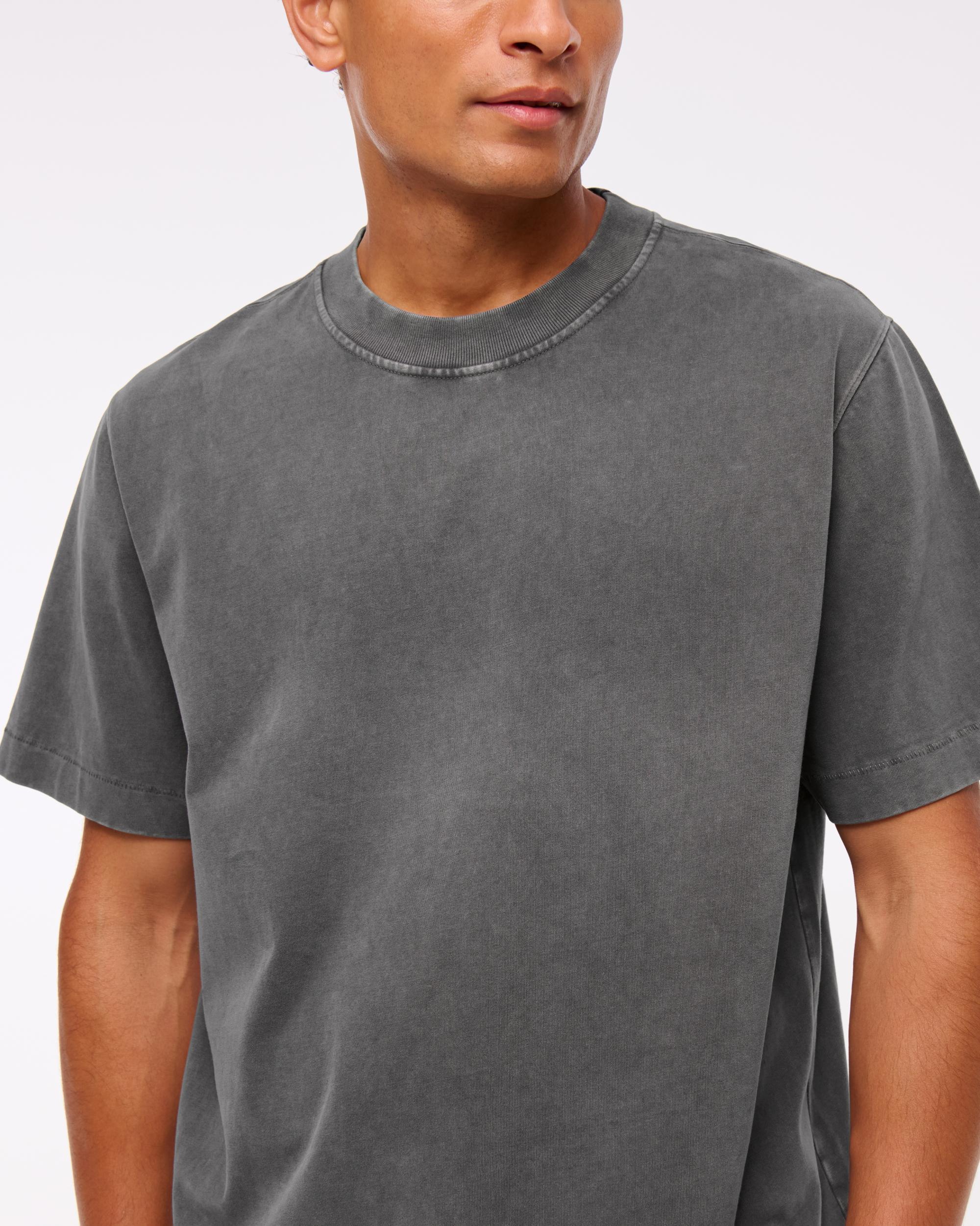 Premium Heavyweight 2.0 Tee Product Image