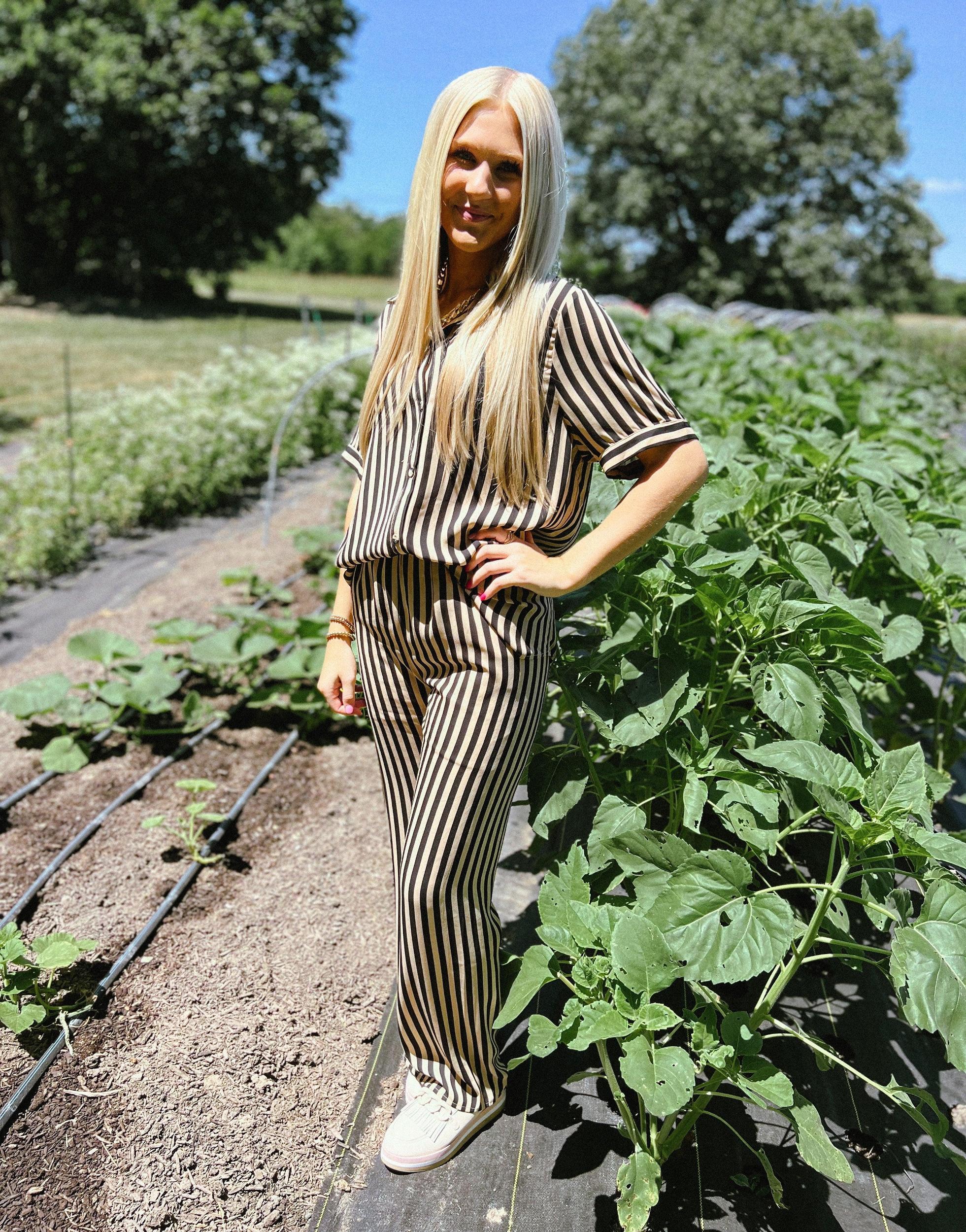 Toffee Nut Stripe Pants Product Image