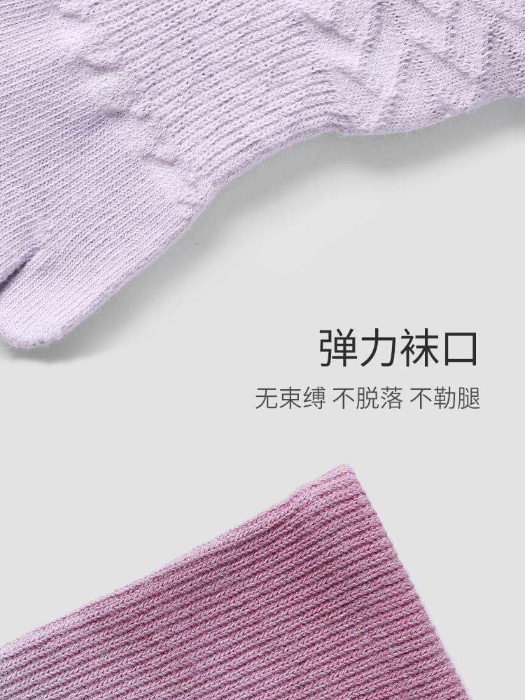 Product Card