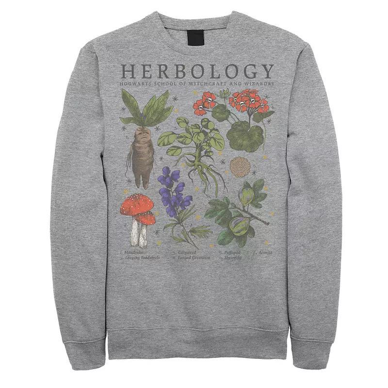 Men's Deathly Hollows 2 Herbology Lineup Sweatshirt, Size: 3XL, Athletic Grey Product Image