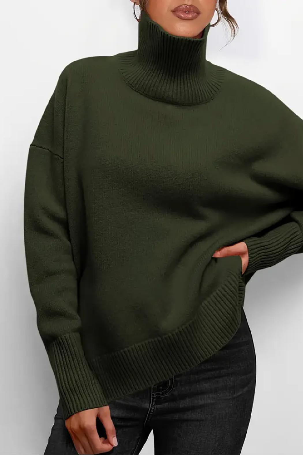 Saundra Ribbed Knit Turtleneck Product Image
