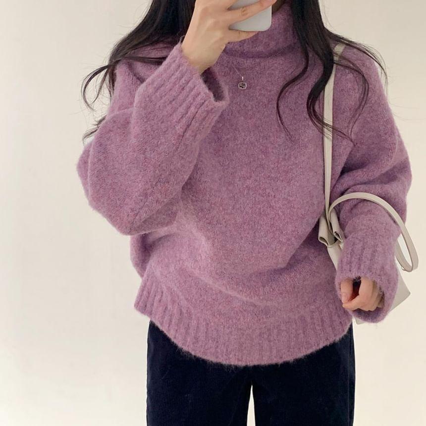Long-Sleeve Turtleneck Plain Sweater Product Image