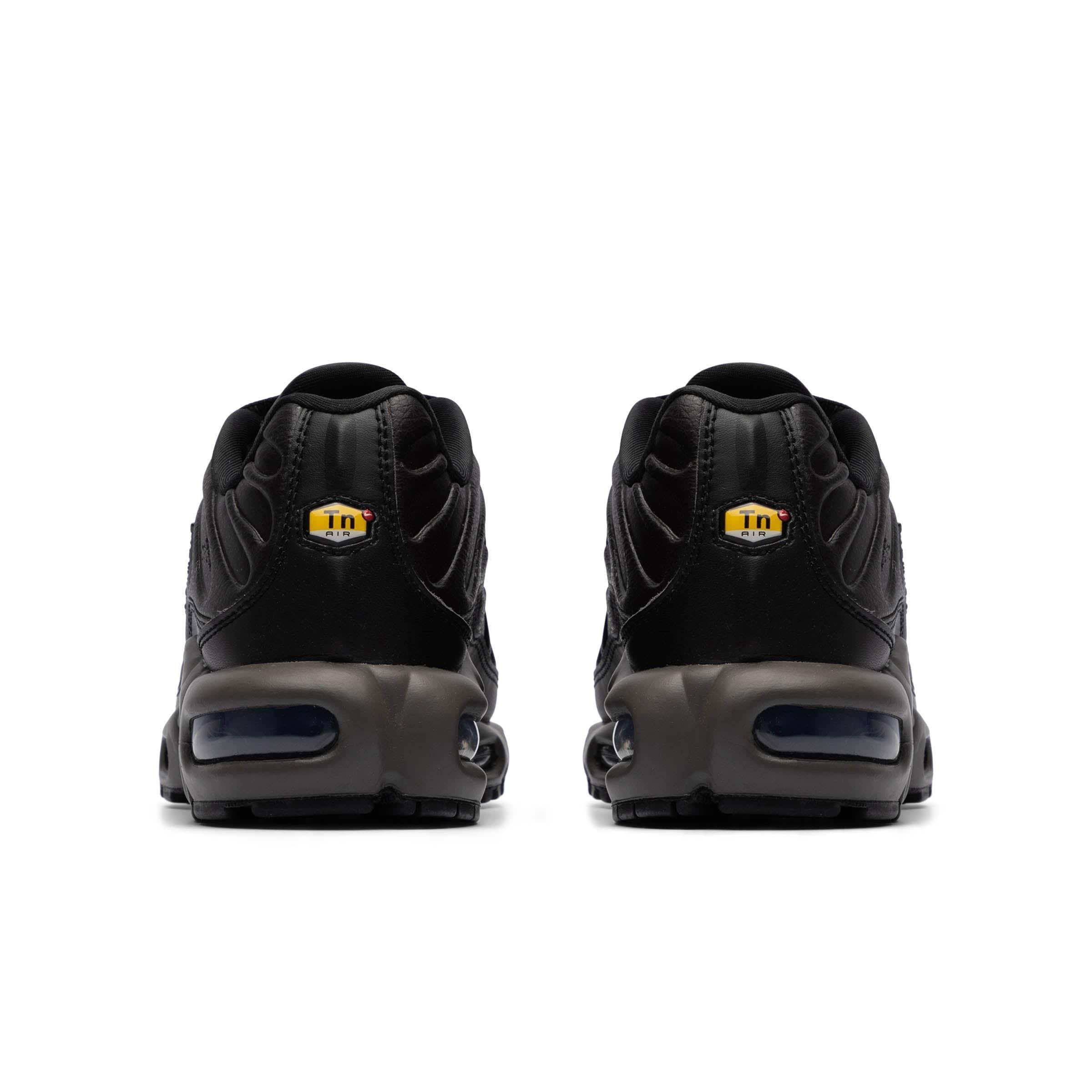 AIR MAX PLUS PRM Male Product Image