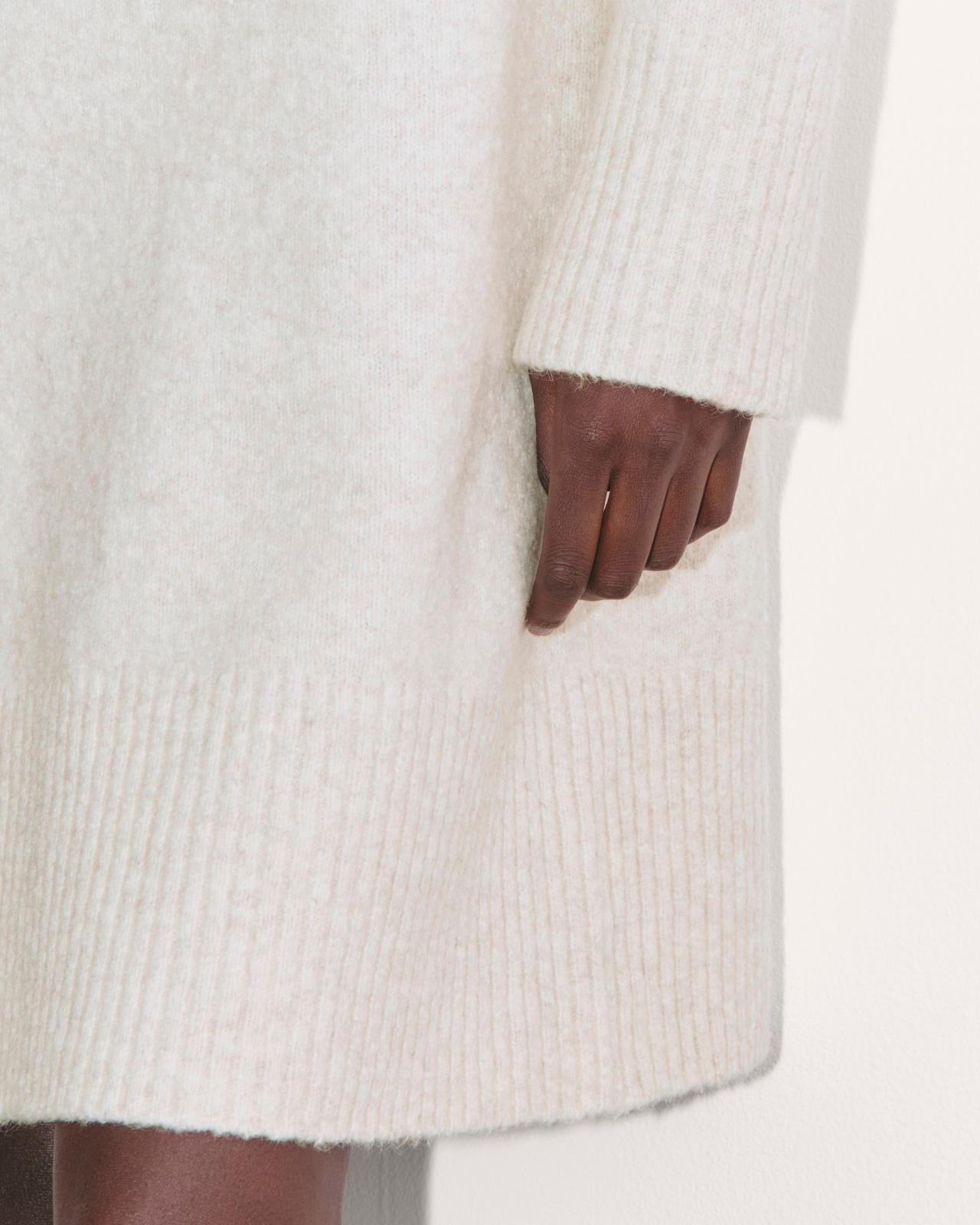 Womens Sweater Dress in Plush Cotton by Everlane Product Image