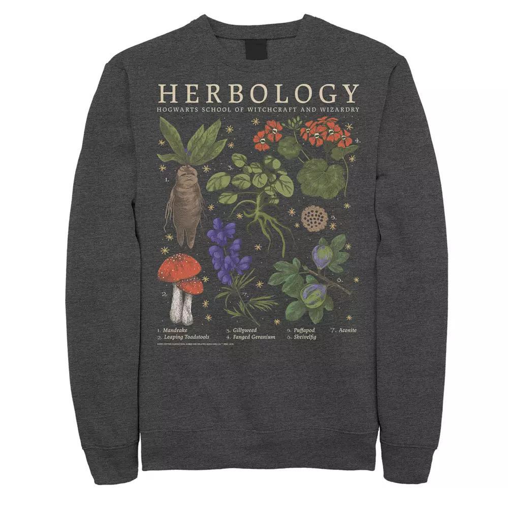 Men's Harry Potter Herbology Herb Refernce Grid Tee, Size: Large, Blue Product Image