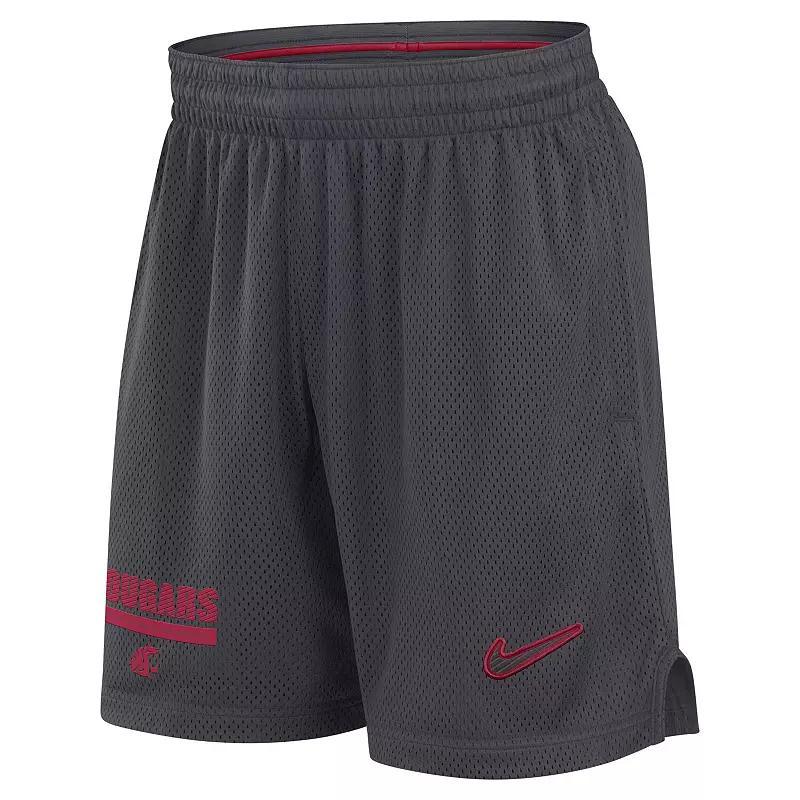 Men's Nike Anthracite Minnesota Golden Gophers 2024 Sideline Mesh Shorts, Size: Medium, Grey Product Image