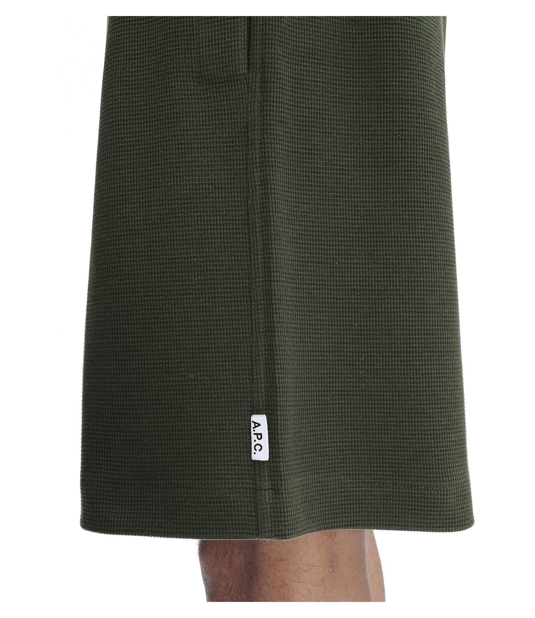 Lino shorts Male Product Image