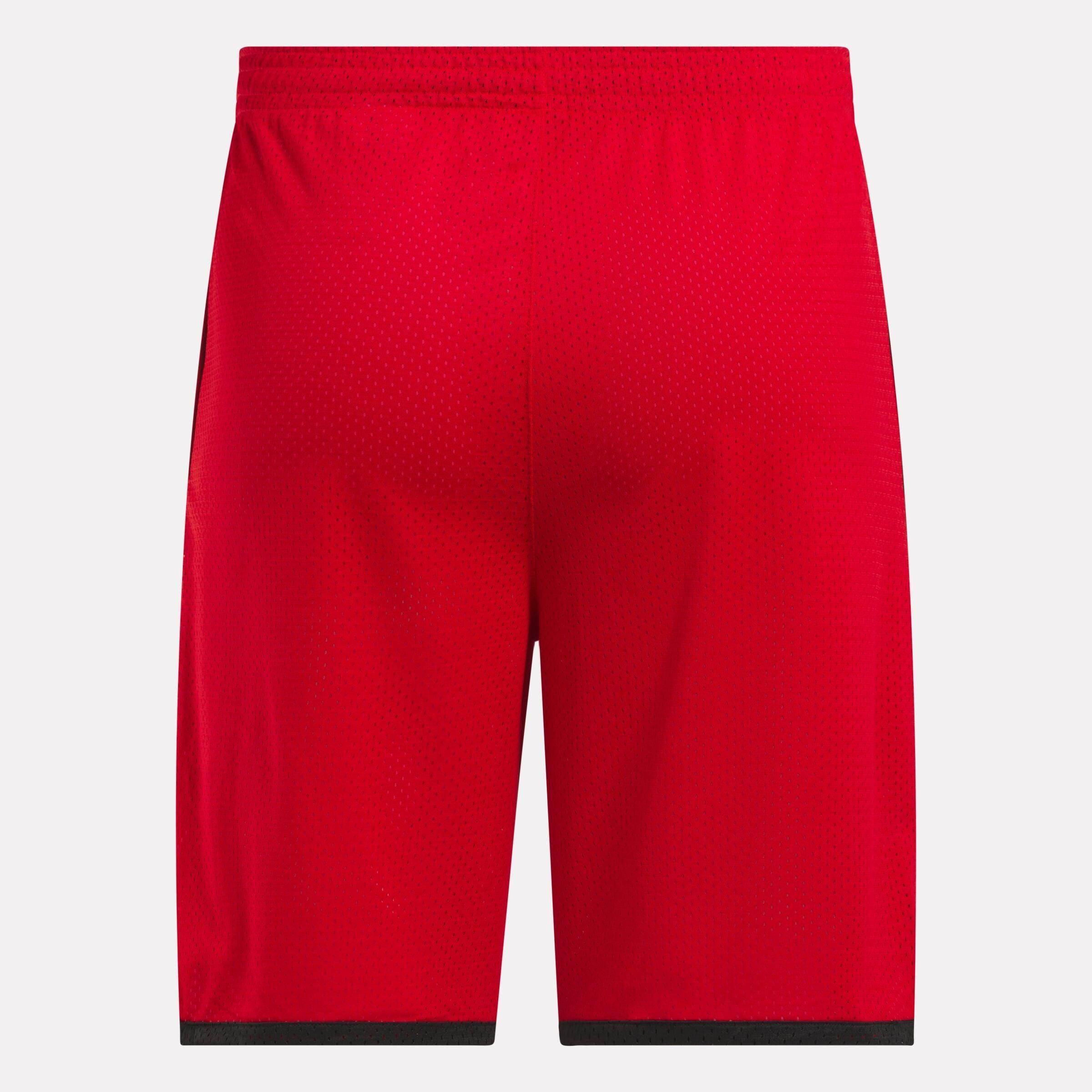 Men's Basketball Mesh Shorts Product Image
