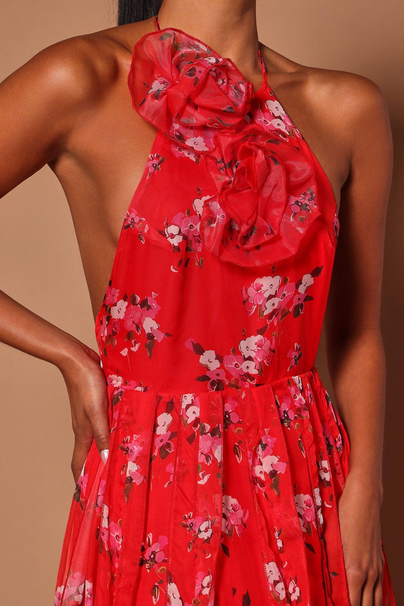 Jaqueline Floral Maxi Dress - Red Product Image