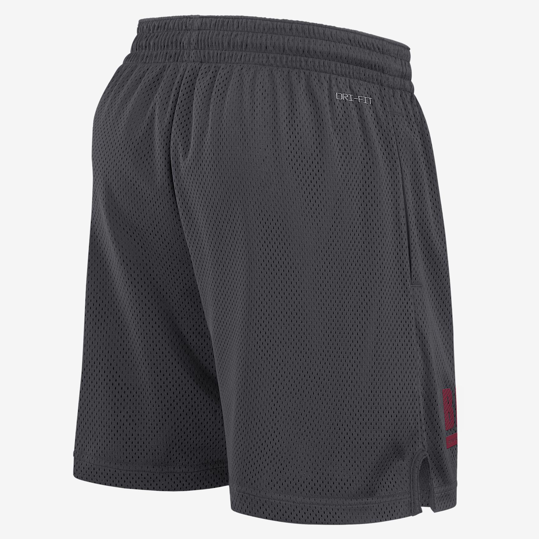 UCLA Sideline Nike Men's Dri-FIT College Shorts Product Image