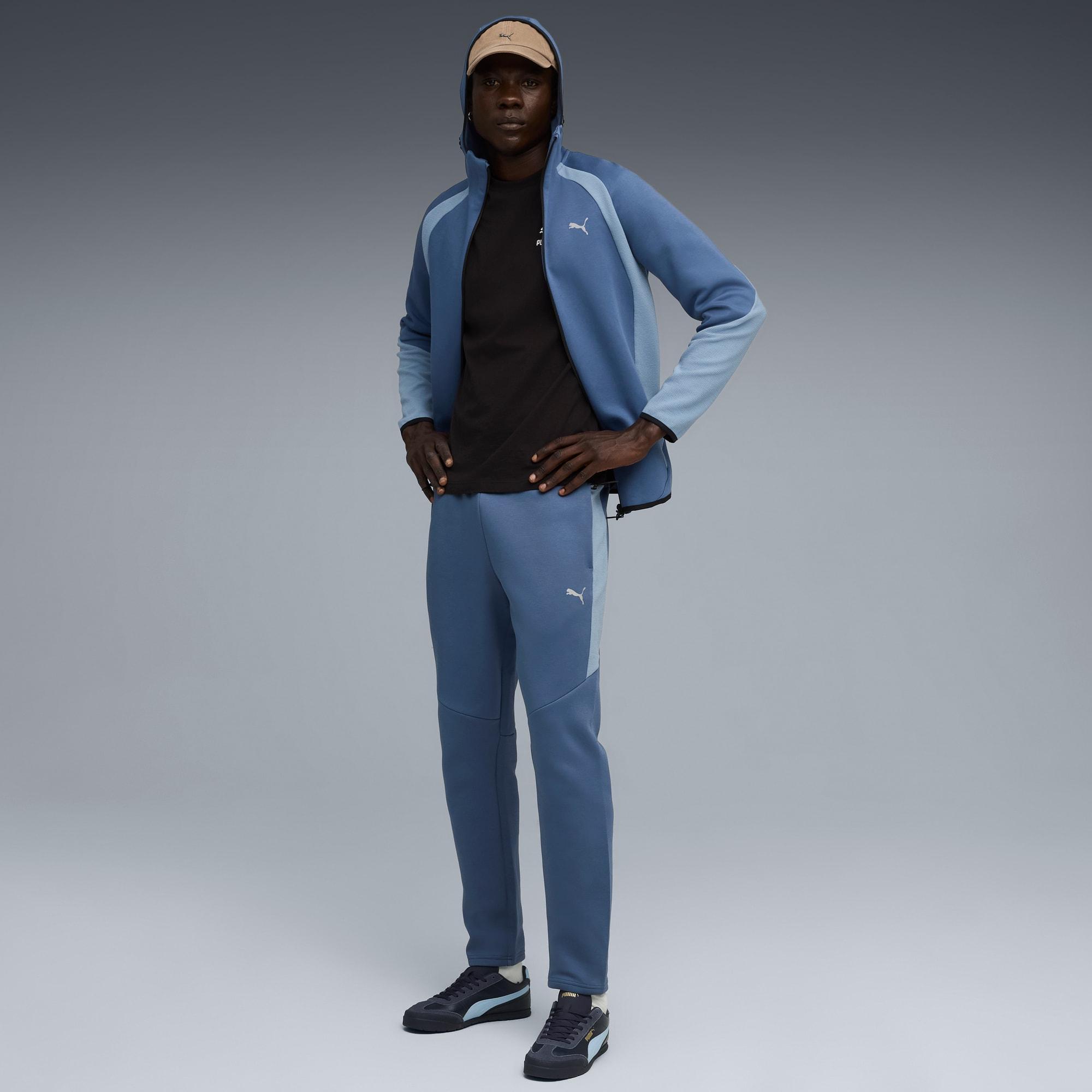 Evostripe Hoodie Men Product Image