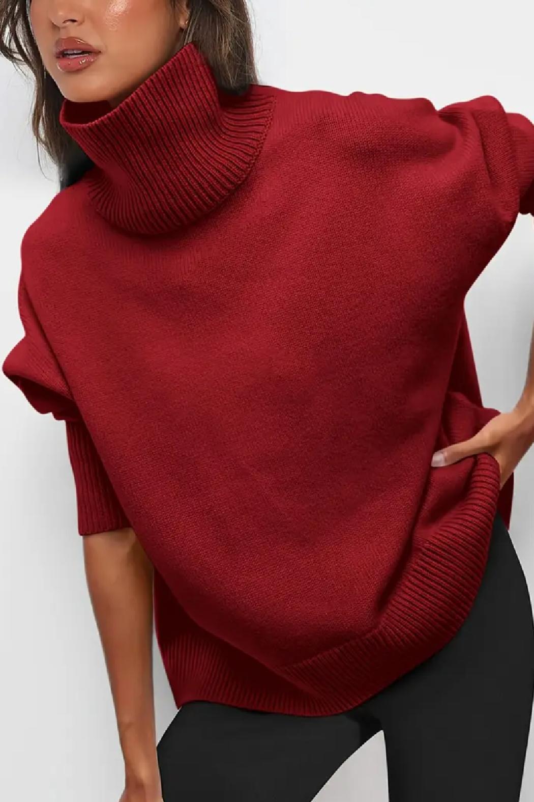 Saundra Ribbed Knit Turtleneck Product Image