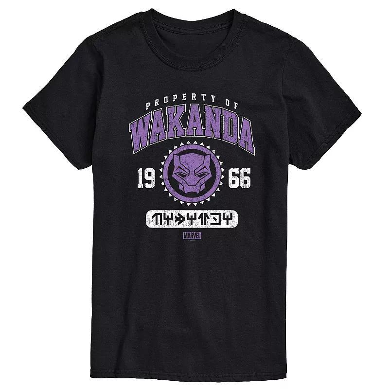 Mens Marvel Panther Property Of Wakanda Graphic Tee Product Image