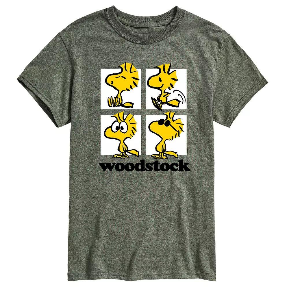 Mens Peanuts Woodstock Grid Graphic Tee Product Image