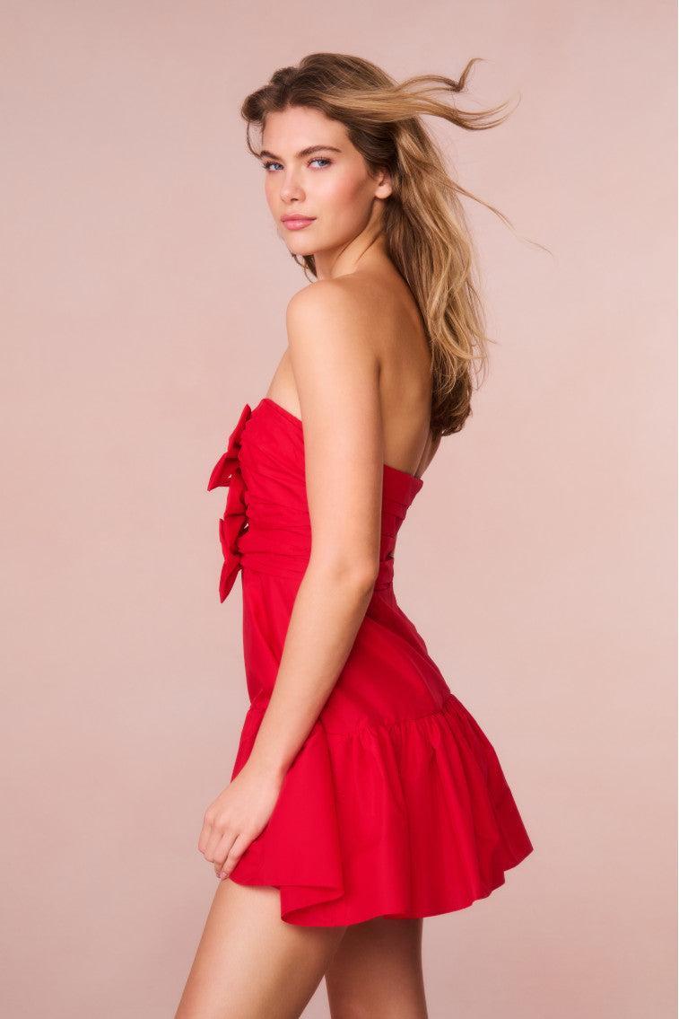 Woodlow Bow Mini Dress Product Image