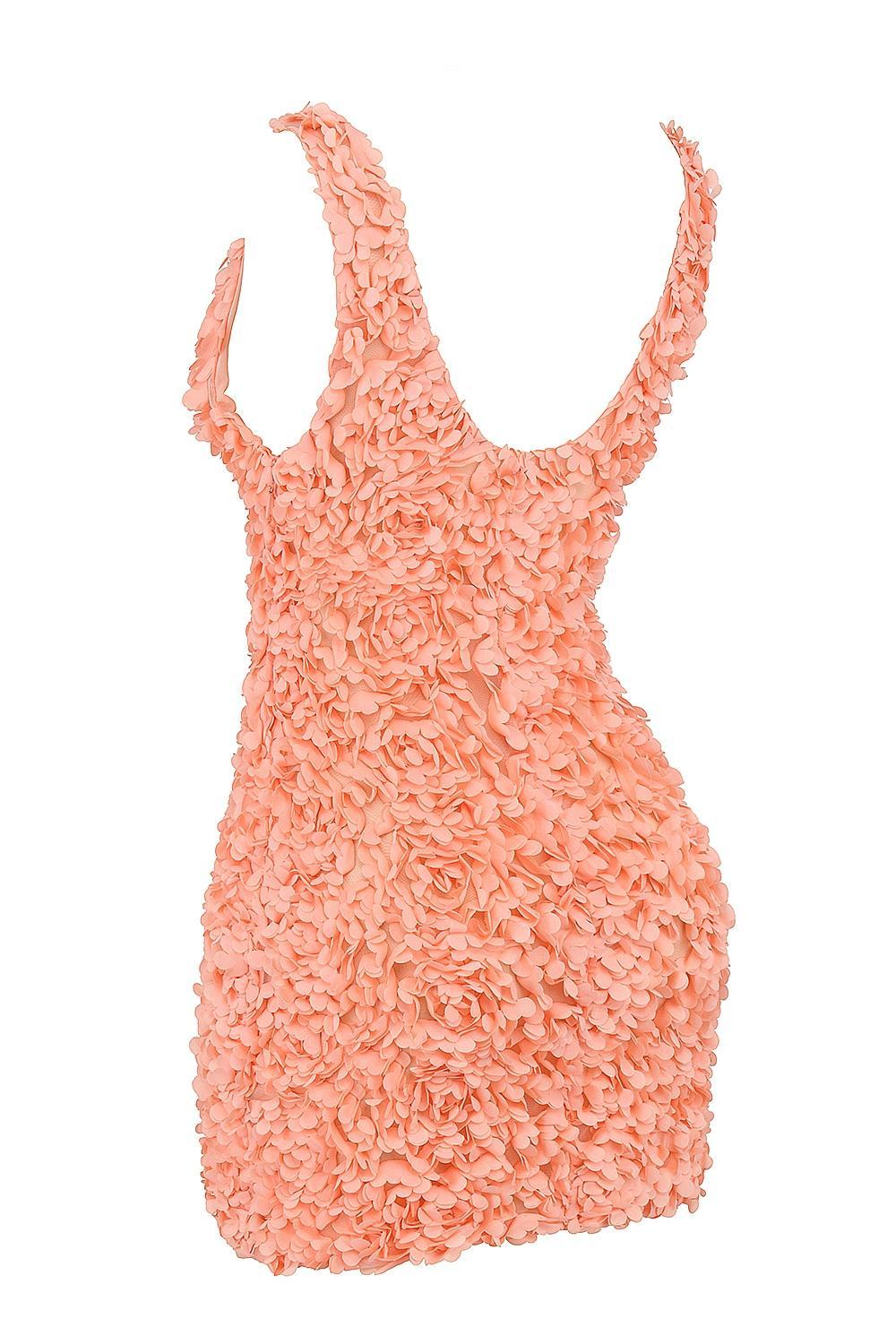 Faena  sorbet plunge floral appliqué mini dress Product Image