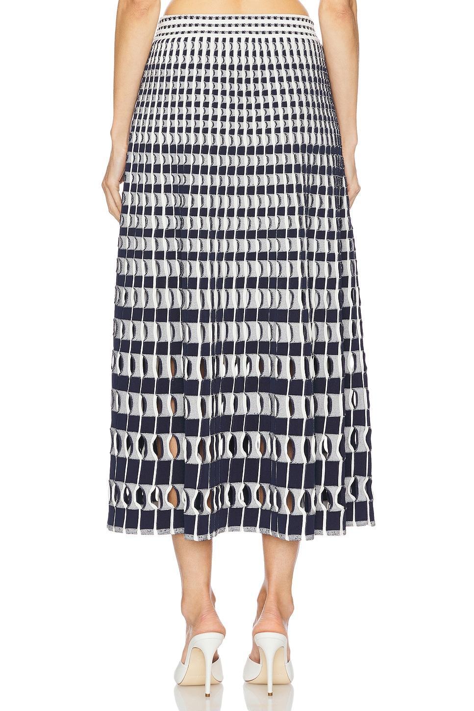 Larken Midi Skirt SIMKHAI Product Image