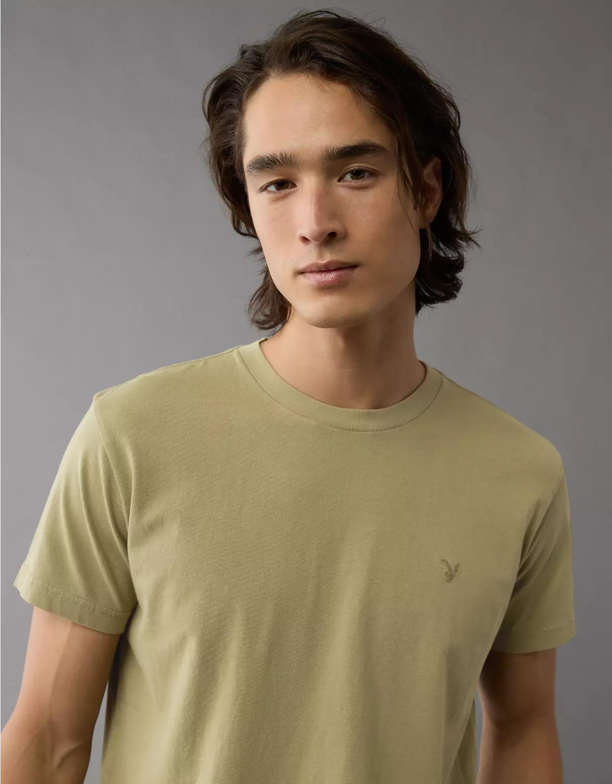 AE Lived-In Slim T-Shirt Product Image