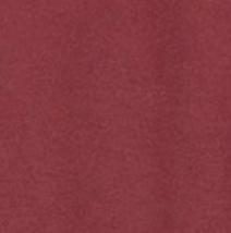 Women's South Carolina Merediths V-Neck T-Shirt - Vault Logo Female Product Image