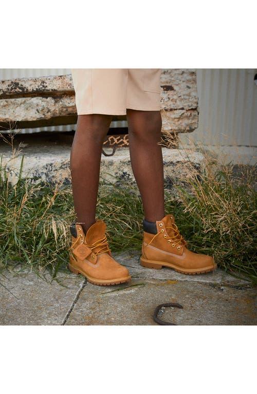 Timberland Kids' Premium 6-Inch Waterproof Boot in Wheat at Nordstrom, Size 1.5 M Product Image