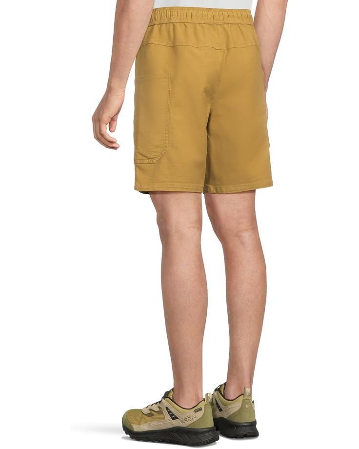 Stretch Zion Shorts Product Image