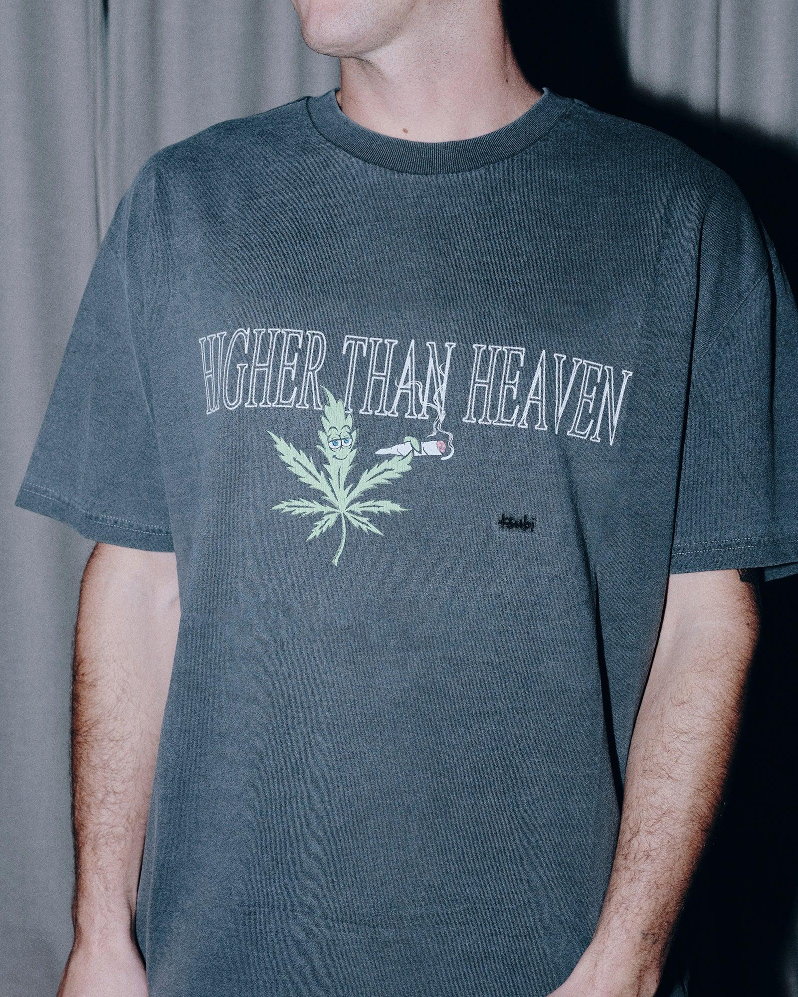 420 LEAF BIGGIE SS TEE CHARCOAL Male Product Image