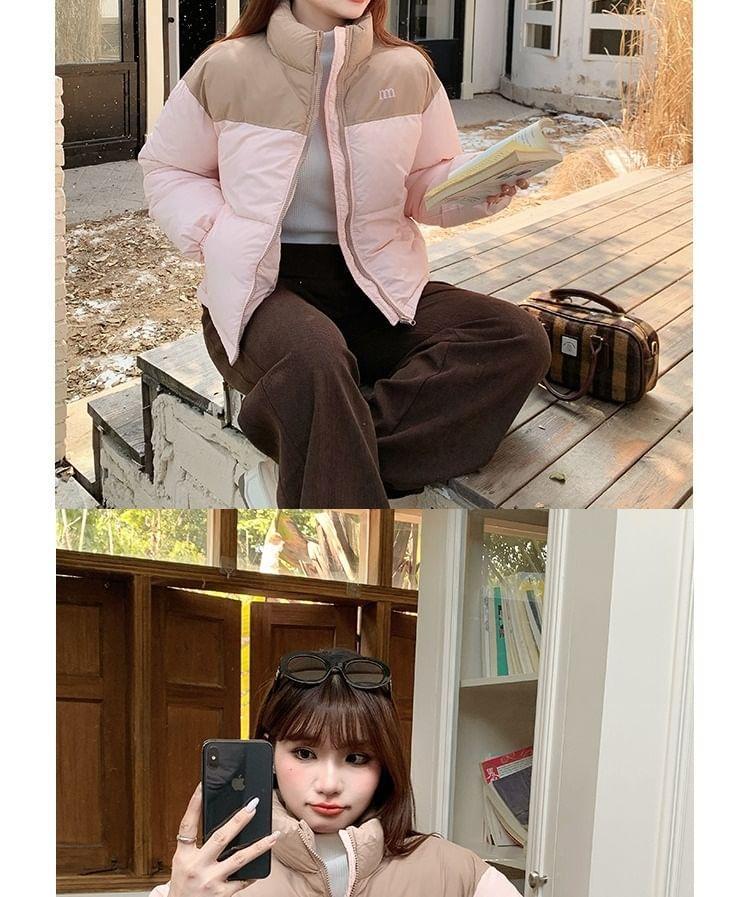 Two-Tone Padded Zip Jacket Product Image