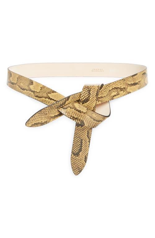 Isabel Marant Lecce Belt in Beige Product Image