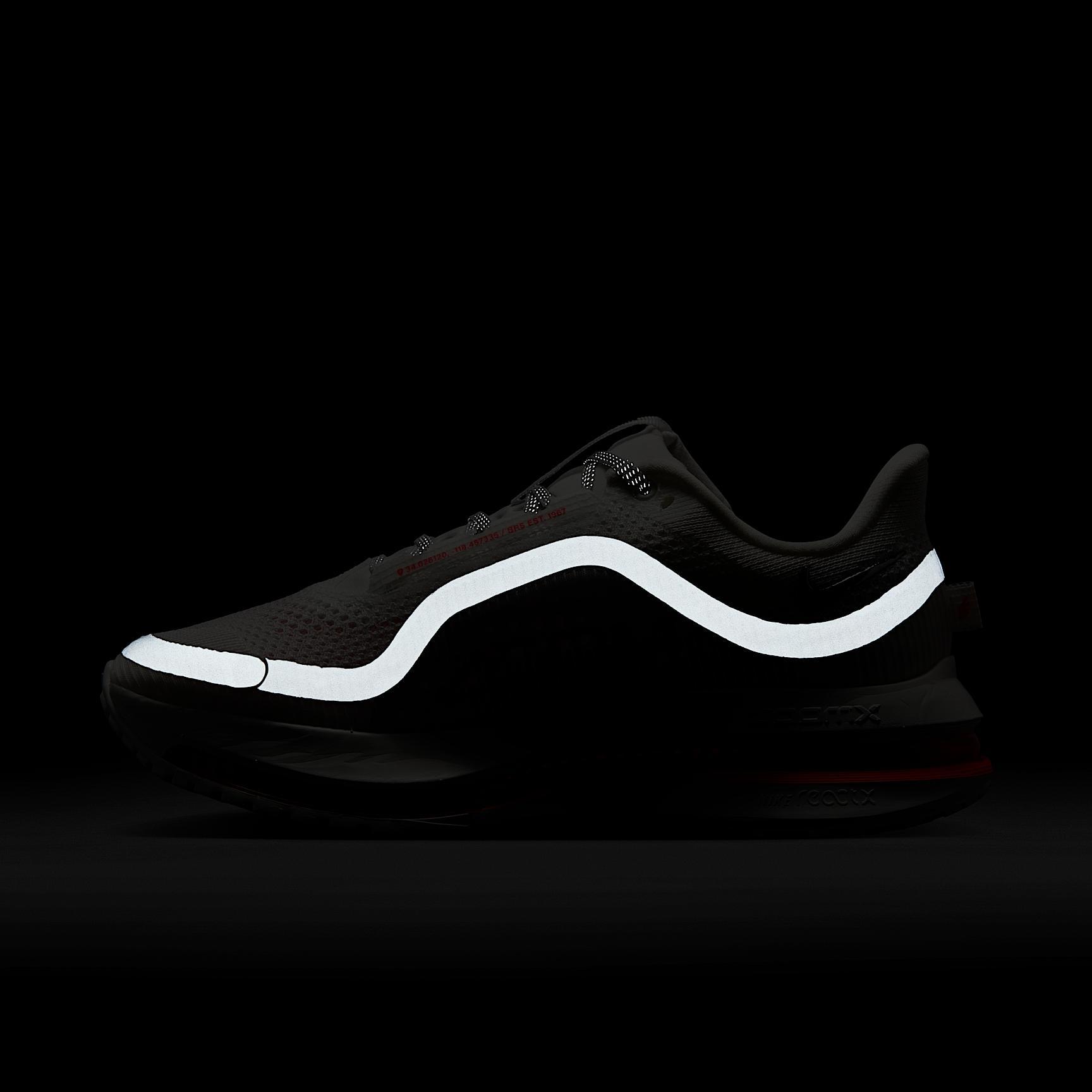 Nike Women's Pegasus Premium Road Running Shoes Product Image